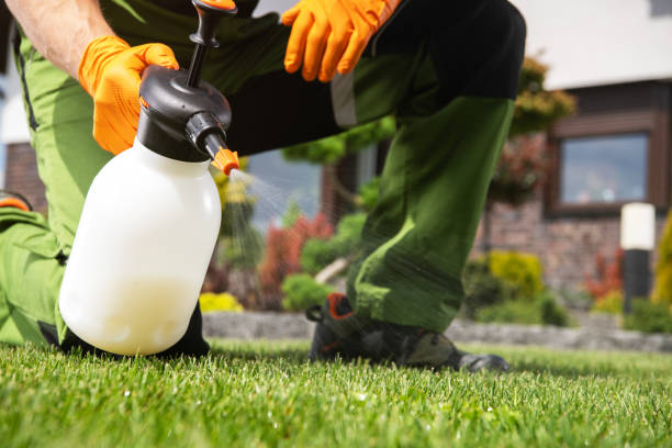 Flea Control Services in Roanoke, TX