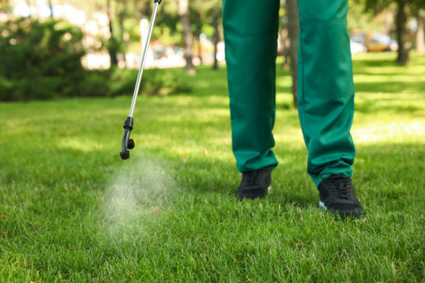 Best Best Pest Control Companies  in Roanoke, TX