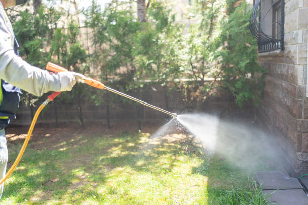 Best Spider Control Near Me  in Roanoke, TX
