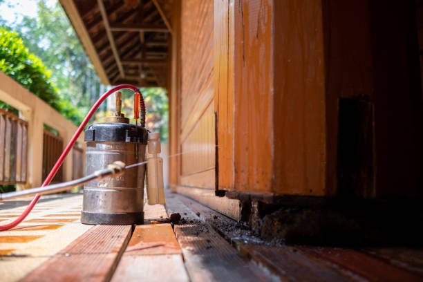 Pest Control for Restaurants in Roanoke, TX