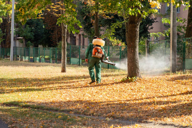 Best Local Pest Control Services  in Roanoke, TX