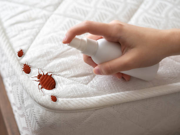 Best Pest Control for Restaurants  in Roanoke, TX